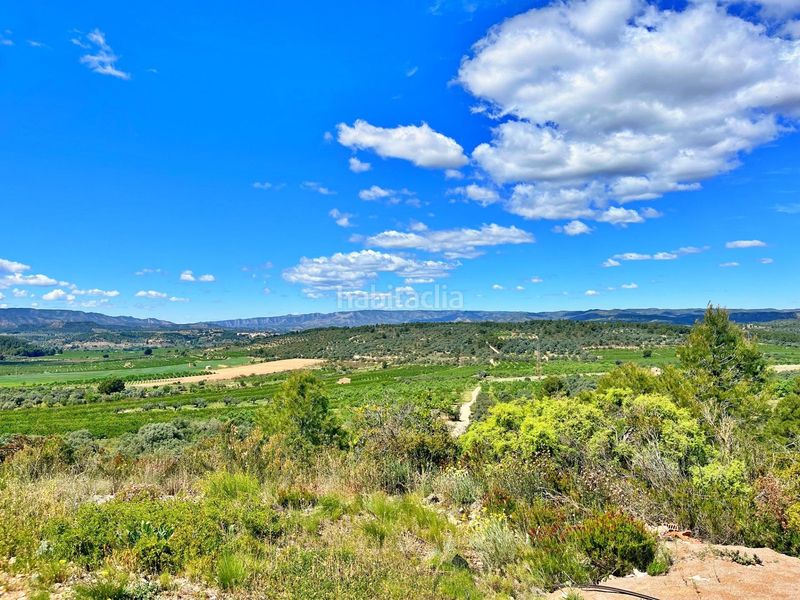 Foto ed0d4df8-79b0-4717-9ab2-a8553f2682a7. Xalet a Flix