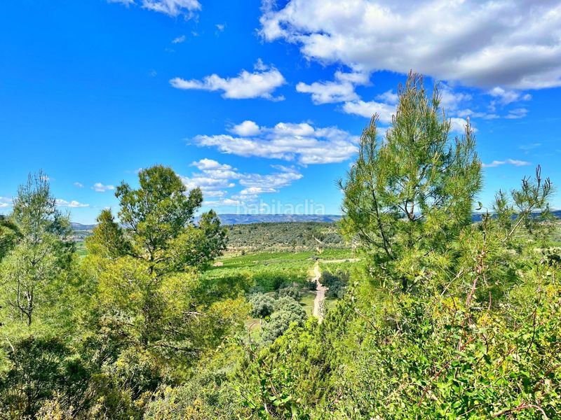 Foto ed335584-3606-4c1b-a553-0ae59b17f5cb. Xalet a Flix