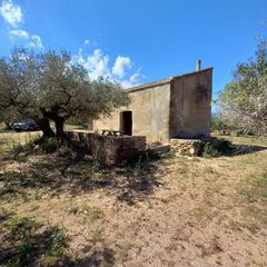 Haus in Roquetes. Casa de campo y olivar ecológico certificado.