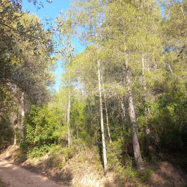 Foto 77c77b68-9ee4-48cb-846d-70fc946db4b7. Finca rústica a Tivenys
