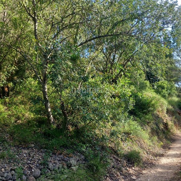 Foto aa05e23e-e900-47a9-8832-0e2079dc3f17. Finca rústica a Tivenys