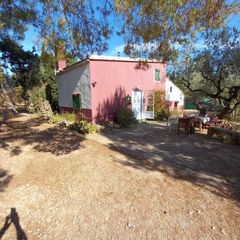 Masia a Mas de Barberans. Casa de campo con 54.511 m2 de terreno y olivos en producción  m