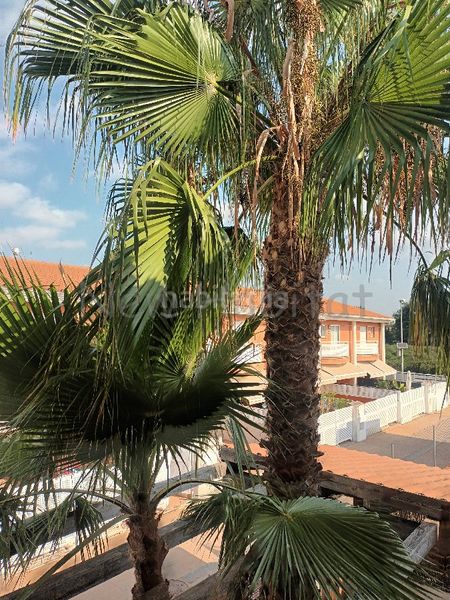 Foto 20ac4980-47a6-458a-b981-02e603a7fabe. Doppelhaus mit kamin heizung parking pool in Playa-Ben Afeli Almazora / Almassora