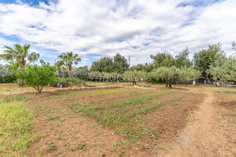 Foto 49a7b79f-f1e3-4a8e-b368-fca92f31229c. Chalet en Migjorn Reus