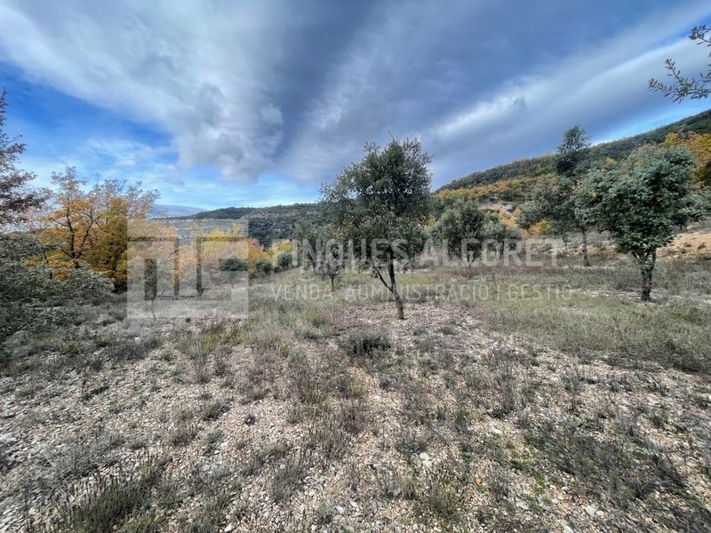 Foto 99a19caa-9098-43b0-8f98-afee70ca424c. Casa amb aparcament a Gavet de la Conca