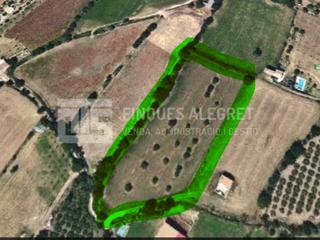 Haus  N/a. 4 fincas agricolas en la pobla de segur