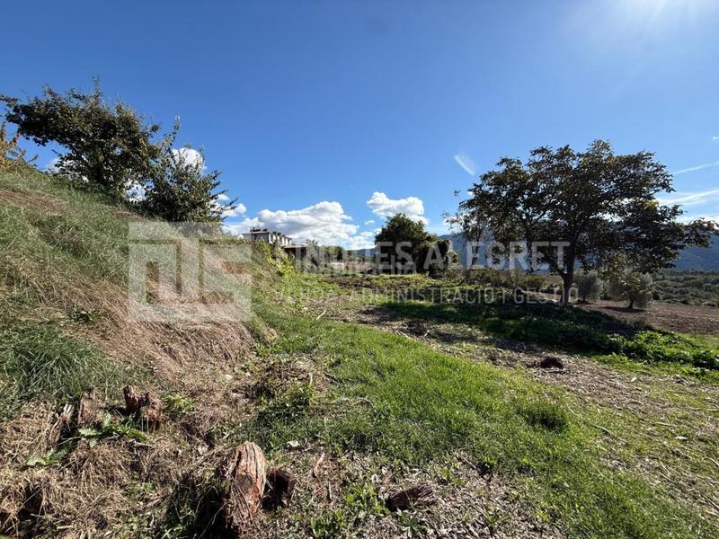 Foto f0f5ec76-d89e-4a28-8e4c-0d692e0f23dd. Casa a Conca de Dalt