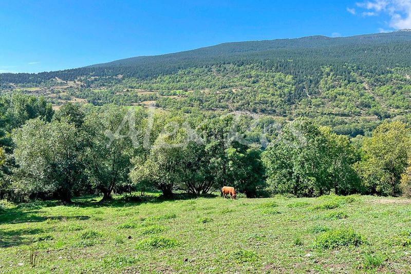 Foto a7fed755-a6c6-47be-b124-f15e62f5a9bd. Finca rústica a Lles de Cerdanya