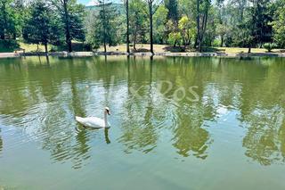Finca rústica  Avenue du lac. En el lago de osseja, parcela de 531 m2, para la construcción de