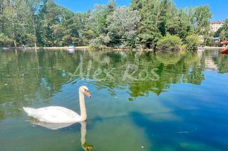 Finca rústica  Avenue du lac. En el lago de osseja, parcela de 530 m2, para la construcción de