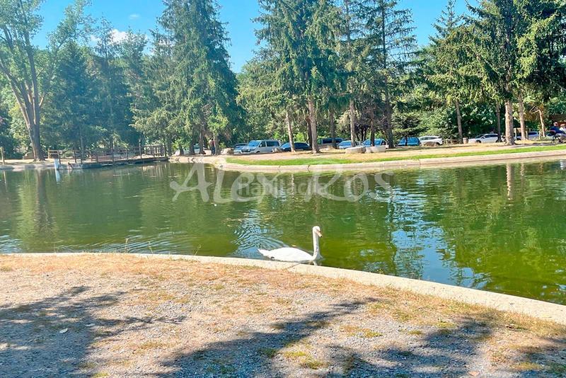 Foto e8b15503-7e70-47ef-a5d4-ff97651f6999. Fondo rustico in Osseja