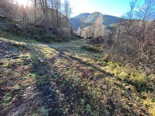 Finca rústica  Bor,ag.bor. Solar para la construcción de 9 viviendas