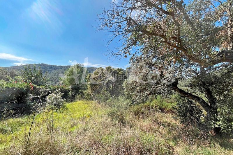 Foto 1c0d8fb8-ce67-47c4-a338-6457586b6a5a. Finca rústica a Mas Pere-Río de Oro Calonge