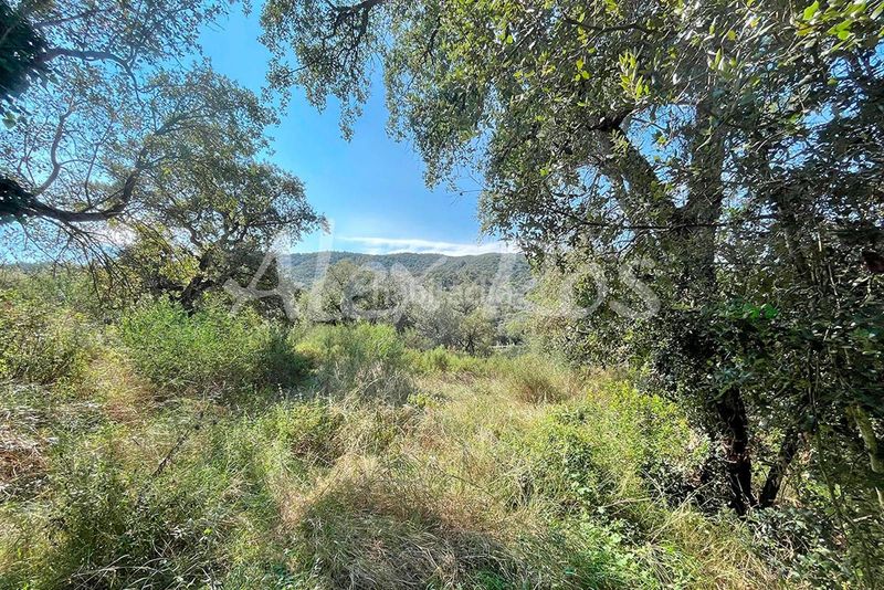 Foto a20d999f-5bd9-4597-a442-5022548e76b3. Finca rústica a Mas Pere-Río de Oro Calonge
