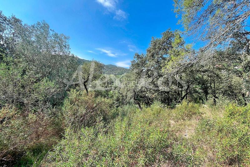 Foto b638c721-45ab-429a-8926-d10f31f814ab. Finca rústica a Mas Pere-Río de Oro Calonge