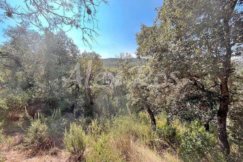 Foto ccf8c903-4d31-4d26-b66e-f8365a276797. Finca rústica a Mas Pere-Río de Oro Calonge