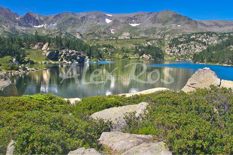 Foto 186b98a4-504d-4187-a2df-88f369822a0f. Pis a Llívia