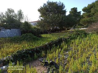 Residential Plot  Carrer montcada. Solar para edificar casa