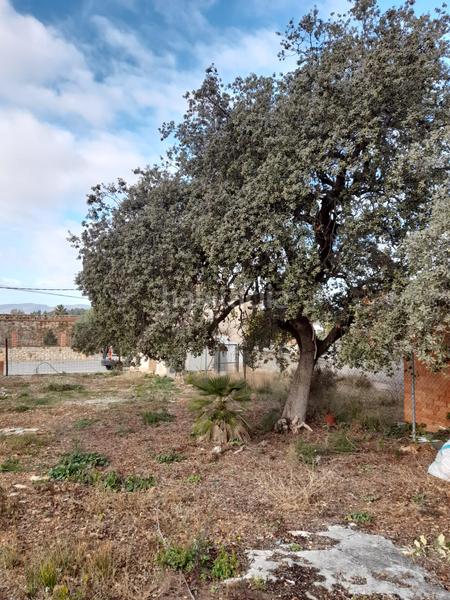 Foto d9102574-0b1d-46d5-911b-8eb1a4c644b4. Terreno residencial solar orientado al mar en Castellet i la Gornal