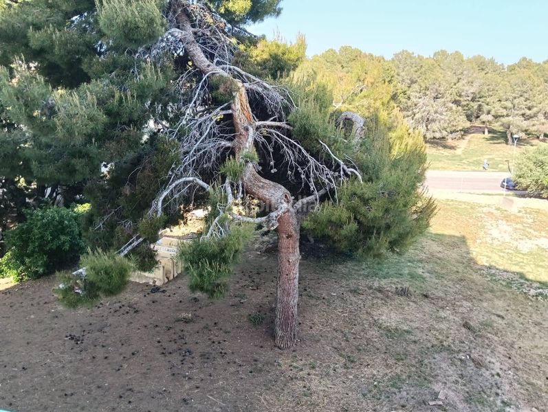 Foto ba92921e-6e49-40c0-8fb9-721ac657d854. Lloguer pis amb xemeneia aparcament a Cunit residencial Cunit