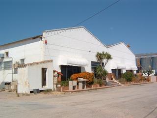 Nau industrial a Aldea (L´). Nave industrial en l aldea  rent. 4 anual