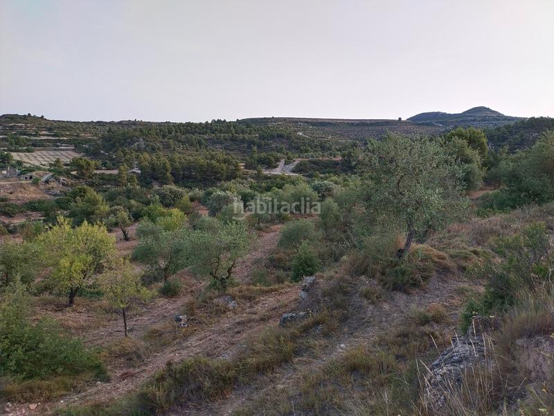 Foto 5b6a4c01-55cb-426f-8759-4d1e17f9d45d. Finca rústica a Cervià de les Garrigues