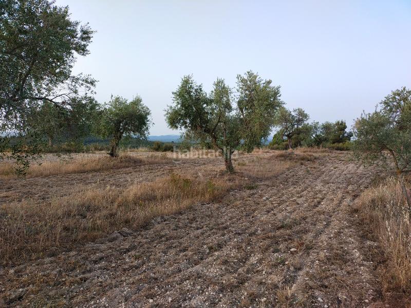 Foto 98a946af-3c7c-498b-a66b-2ba6f2748ebe. Finca rústica a Cervià de les Garrigues