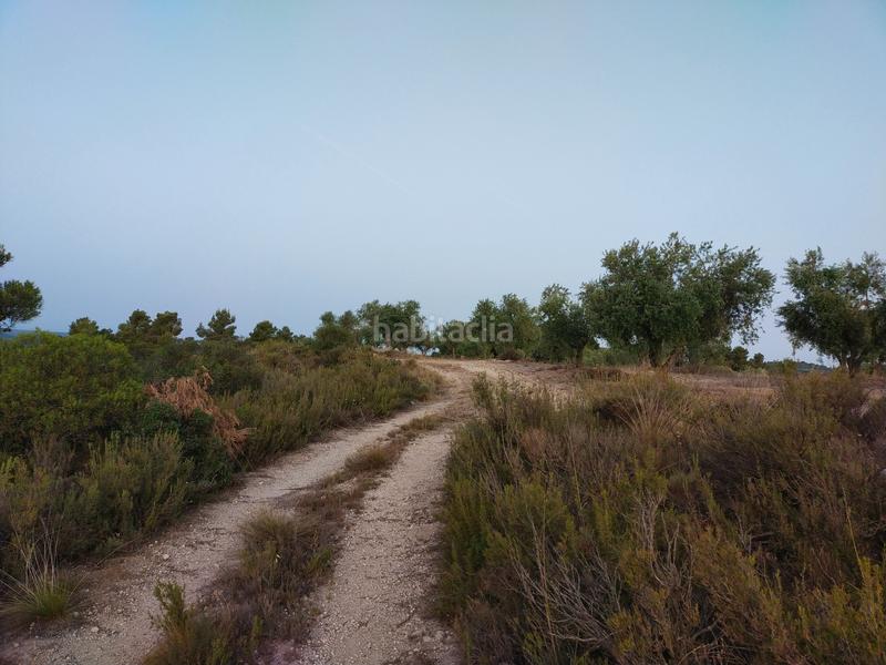 Foto a6ef2580-162e-41c7-8d33-b9fa1842c45e. Finca rústica a Cervià de les Garrigues