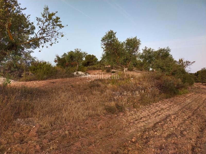 Foto b0a878c5-bc21-4310-8f24-5ac9ef5624e0. Finca rústica a Cervià de les Garrigues