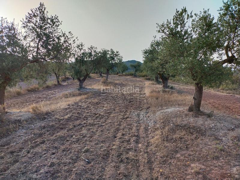 Foto c1199fc7-129e-4510-9424-e8edc94d0c41. Finca rústica a Cervià de les Garrigues