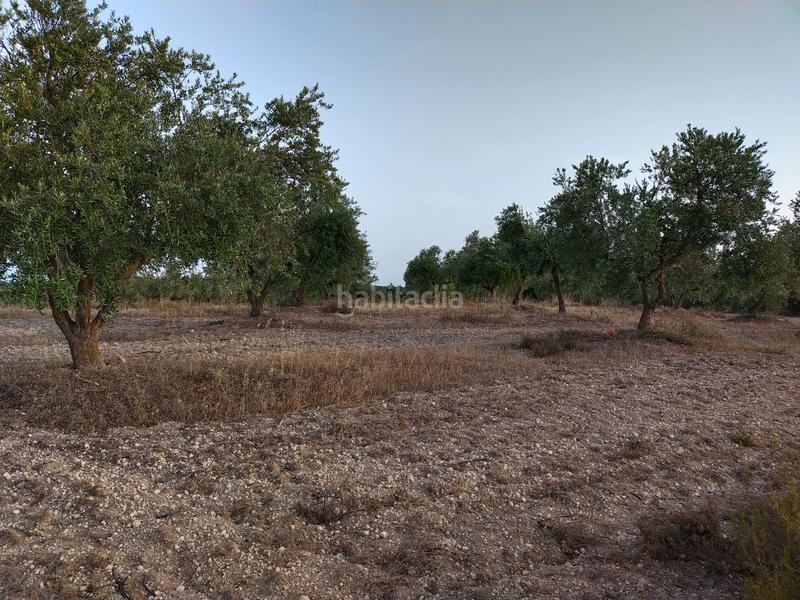 Foto d79adec5-2195-447d-90bf-767555274a27. Finca rústica a Cervià de les Garrigues