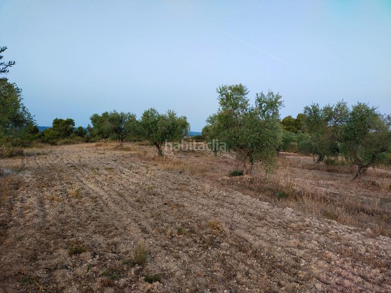 Foto 01868aec-13e3-429d-a13c-ef7d42f47fc5. Finca rústica en Cervià de les Garrigues