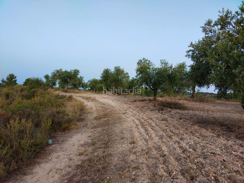 Foto 14d8d3cd-4416-4461-a403-fcc509a16cb6. Finca rústica en Cervià de les Garrigues