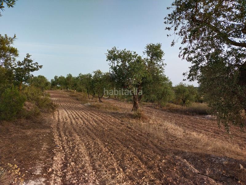 Foto 8d490f0a-704b-422c-8628-cf29ba3cad4f. Finca rústica en Cervià de les Garrigues