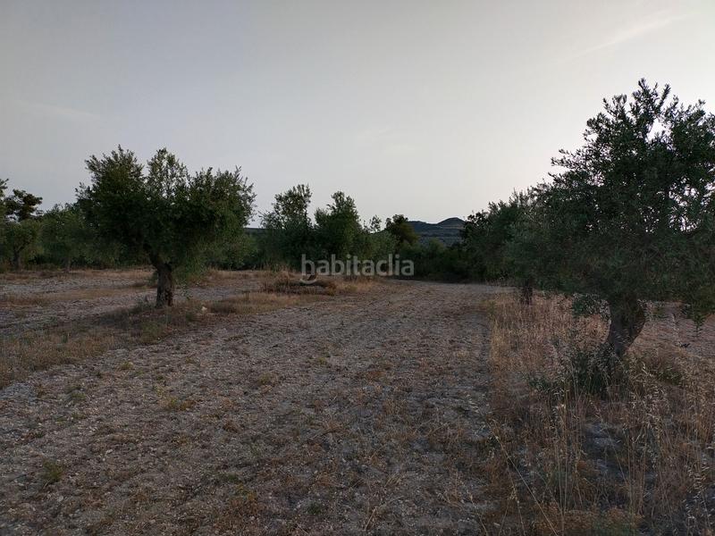 Foto b471deac-c60d-4aca-9397-da5983b6ded7. Finca rústica en Cervià de les Garrigues