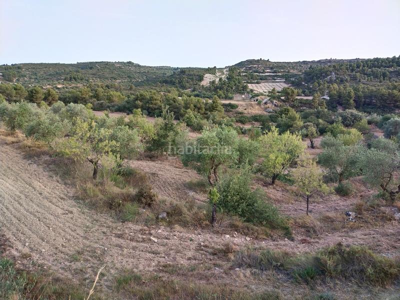 Foto c06b6b08-8d6e-42b8-8c0f-db676bbae859. Finca rústica en Cervià de les Garrigues