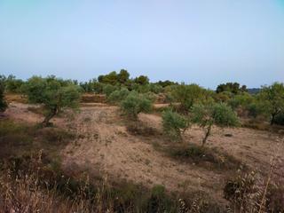 Finca rústica  Carrer onze de setembre