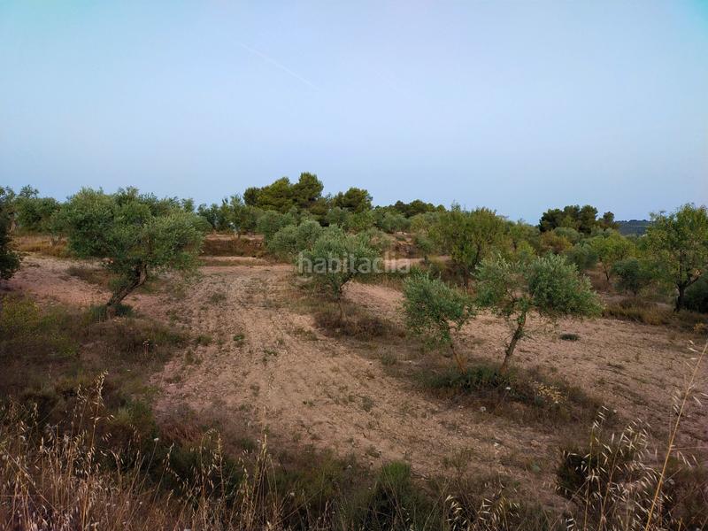 Foto db10577e-a4c2-4710-9678-ee802fa71834. Finca rústica en Cervià de les Garrigues