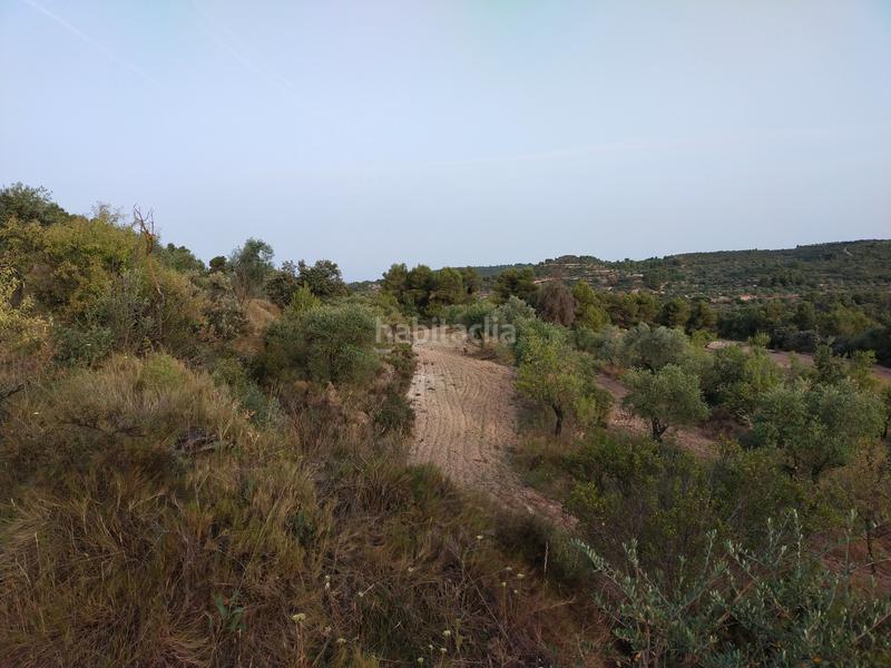 Foto e32f110b-c3f6-4e8c-9928-86da78761a7d. Finca rústica en Cervià de les Garrigues