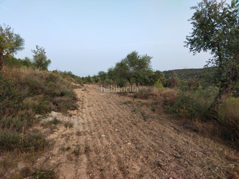 Foto f96d5699-0a2c-4bae-ac8b-2553628db759. Finca rústica en Cervià de les Garrigues