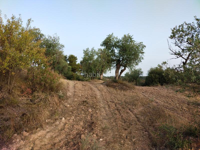 Foto f9b181c2-3660-4dd4-91f0-0b070fcbfa9a. Finca rústica en Cervià de les Garrigues