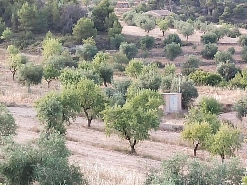 Foto ff16b42a-0dac-4d52-abd3-9d4bfa7341a2. Finca rústica en Cervià de les Garrigues
