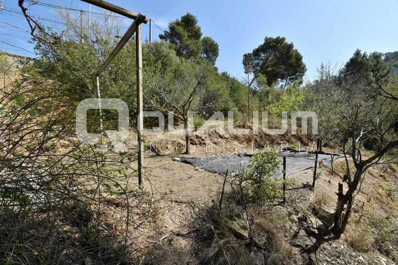 Foto 56bdbf93-784c-43a3-bcd5-8370e29519e1. Wohngrundstück in Cervelló