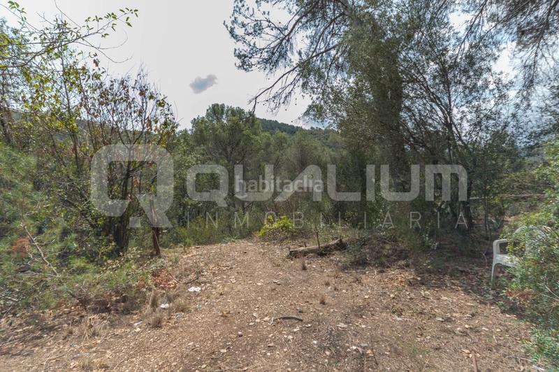 Foto 066e981f-0e77-48ec-95b1-1246e03d8dc3. Rural plot in Castellví de Rosanes