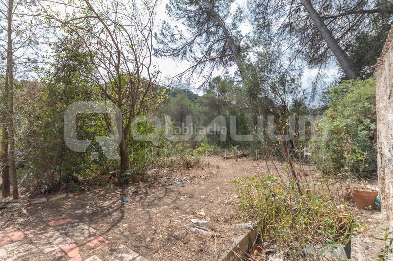 Foto bbe222e6-81c9-43b1-b4a3-c3fba1bdf0bd. Rural plot in Castellví de Rosanes