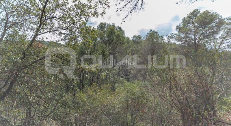 Foto bd8f10d2-c956-481b-b8c0-46e02333e332. Rural plot in Castellví de Rosanes