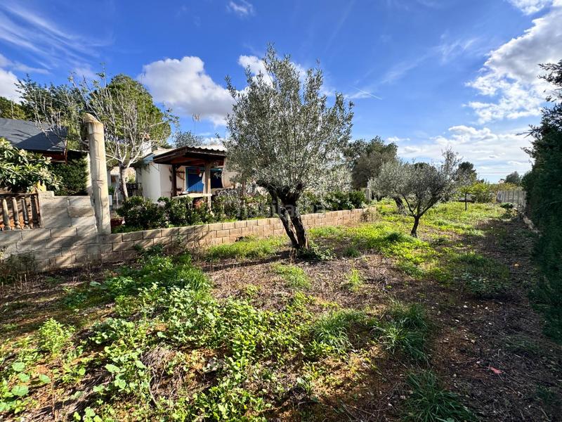 Foto 20b8026b-cc5a-4ad7-b960-12c620fc0fdc. Chalet mit pool in Catadau