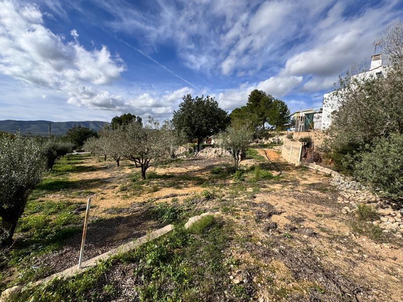 Foto e92a8c7e-be8a-4cb4-a63a-f8d7024abe6d. Chalet mit pool in Catadau