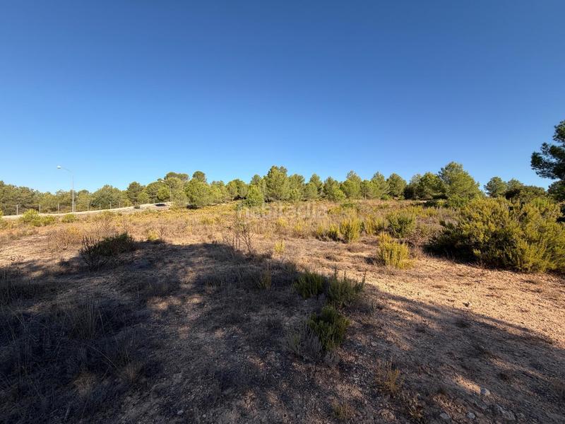 Foto 6c63c590-91b0-44c4-9901-4f7584234eaf. Terreno residencial en urbanizacion bosque 398 parcelas urbanas en venta en urb. El Bosque , valencia en Chiva