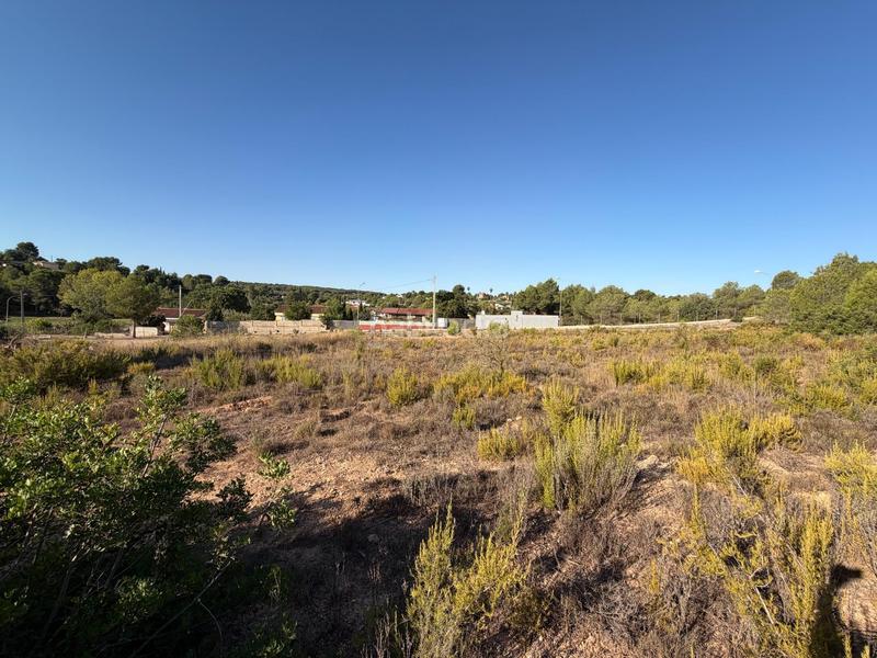 Foto 7548f31d-679a-4a02-90ab-554c359ee863. Terreno residencial en urbanizacion bosque 398 parcelas urbanas en venta en urb. El Bosque , valencia en Chiva